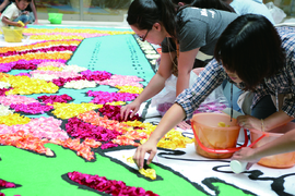 SAPP‿RO Flower Carpet 2014 & Flower Carpet Wedding